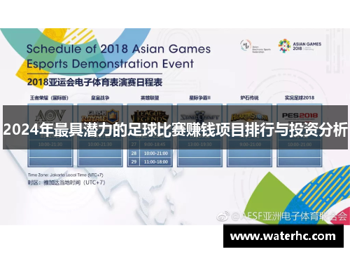 2024年最具潜力的足球比赛赚钱项目排行与投资分析